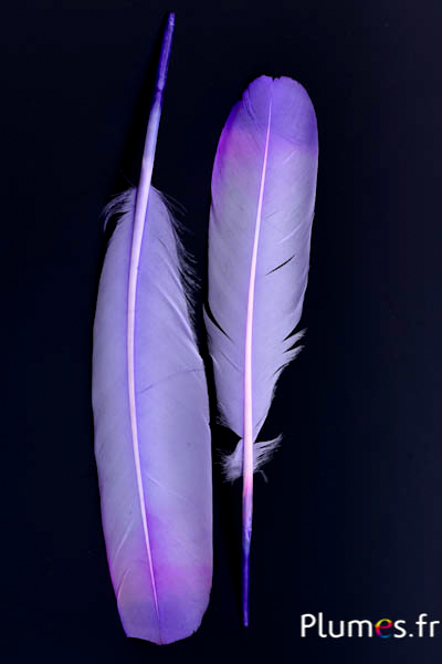 Cygne Soie - 25-30 cm - lilas-violet